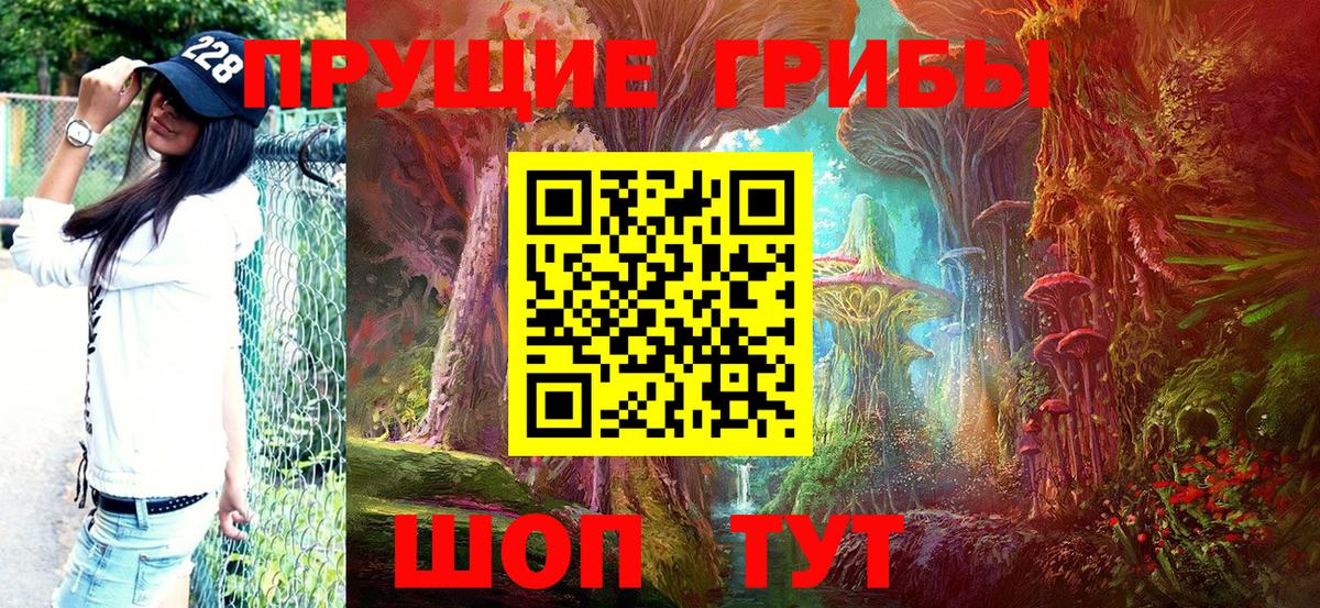 Псилоцибиновые грибы Psilocybe Курчатов